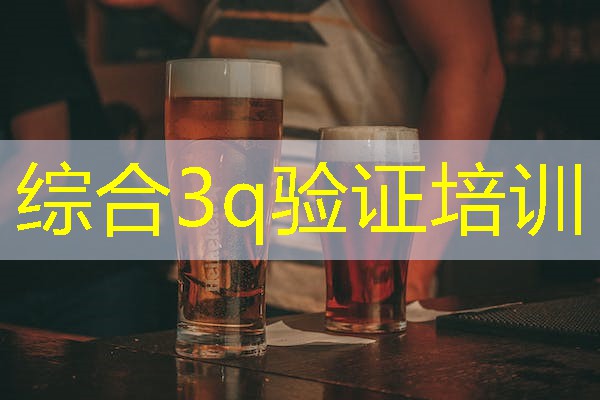 综合3q验证培训