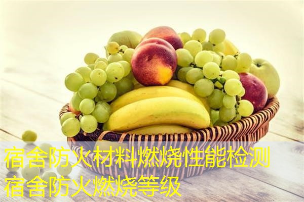宿舍防火材料燃烧性能检测  宿舍防火燃烧等级