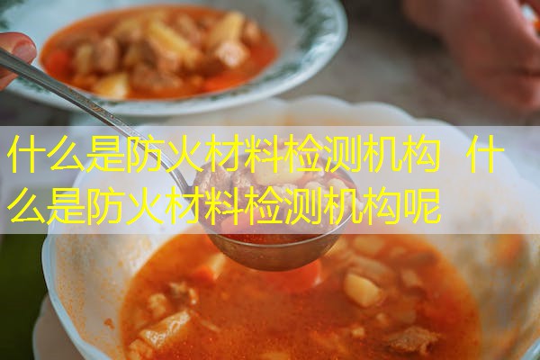 什么是防火材料检测机构  什么是防火材料检测机构呢