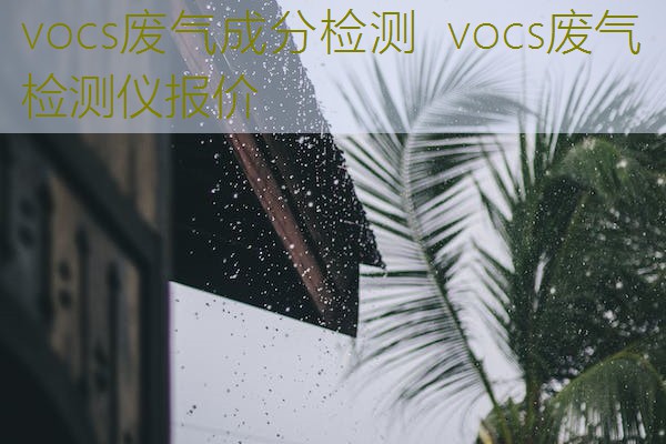 vocs废气成分检测  vocs废气检测仪报价