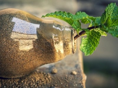 大连水质与废水检测机构，高质量检测报告与合理费用，浪漫之都的生态保障